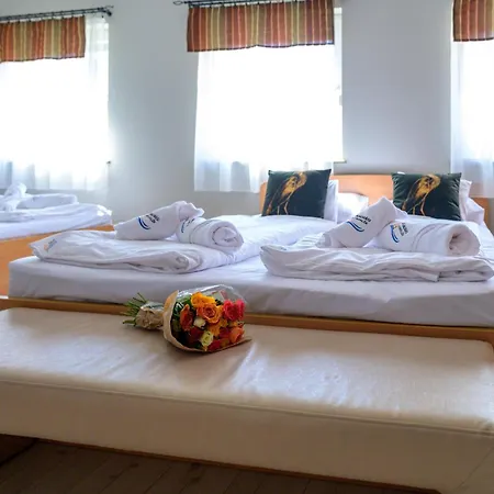 Fenyves * Békésszentandrás